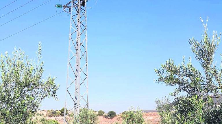 Más de 50 aves fallecen electrocutadas en el vertedero