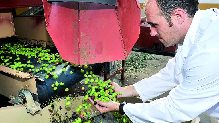 Los aceites de premio se retrasan Los aceites de premio se retrasan