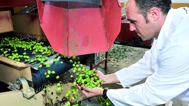 Los aceites de premio se retrasan