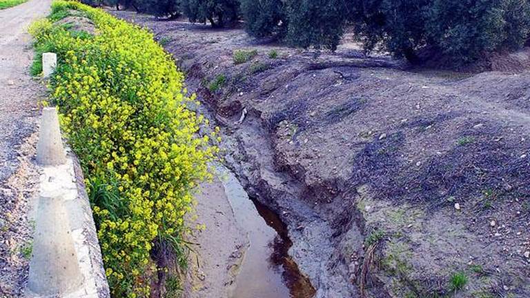 El vertedero contaminó, pero no lo suficiente para que sea delito El vertedero contaminó, pero no lo suficiente para que sea delito