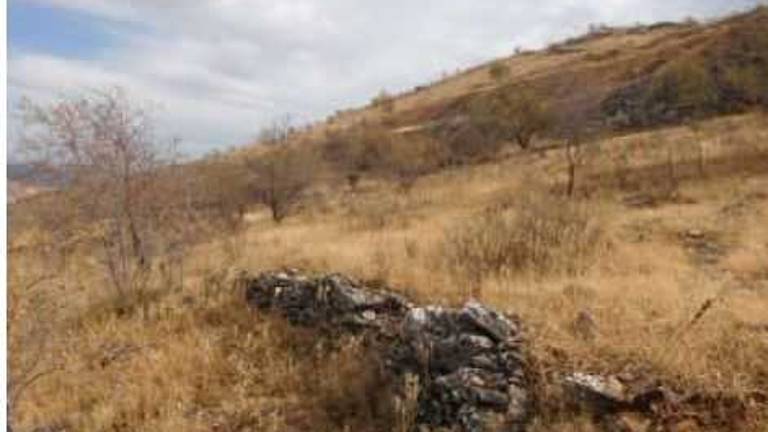 Hacienda subasta su último “botín” Hacienda subasta su último “botín”