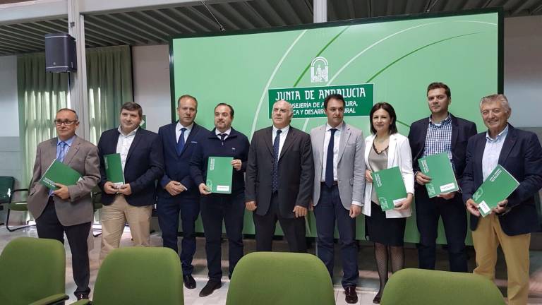 decidido a la comarca decidido a la comarca