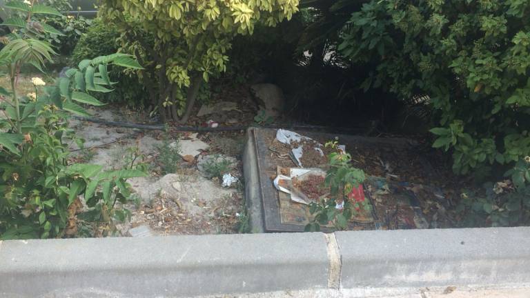 En el barrio de La Gloria los árboles entran por la ventana