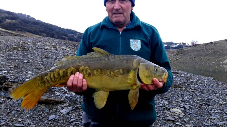 Carlos Franco captura una carpa gigante Carlos Franco captura una carpa gigante