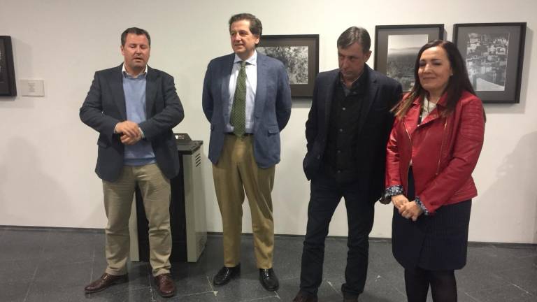 Olivar y aceite visto por el objetivo de Manny Rocca Olivar y aceite visto por el objetivo de Manny Rocca