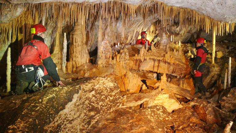 Un pez que está a gusto en las cuevas Un pez que está a gusto en las cuevas