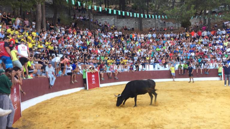 Días de alegría y de fe hacia la patrona