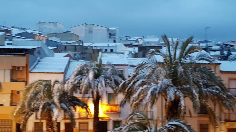 Todas las imágenes de la nieve en Jaén Todas las imágenes de la nieve en Jaén
