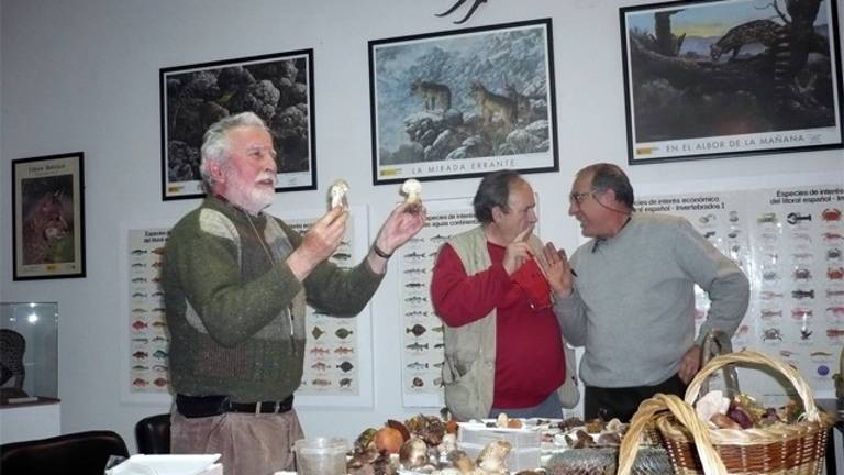 Más de 1.700 especies Más de 1.700 especies