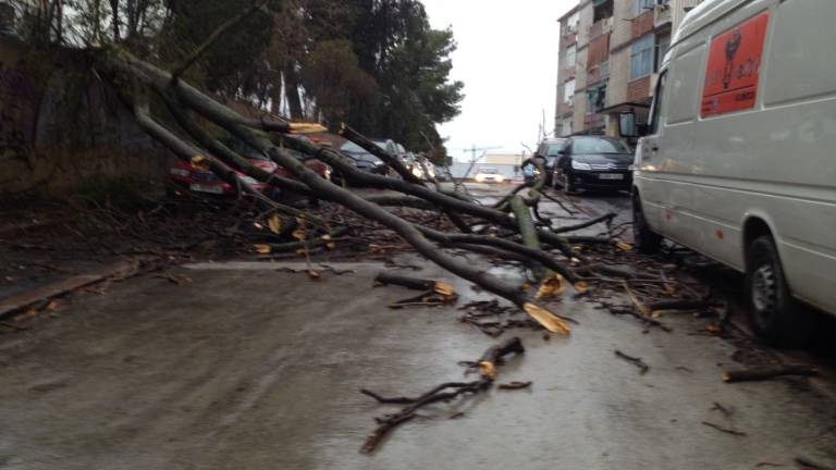 La provincia cierra el temporal con 80 incidentes en 19 municipios La provincia cierra el temporal con 80 incidentes en 19 municipios