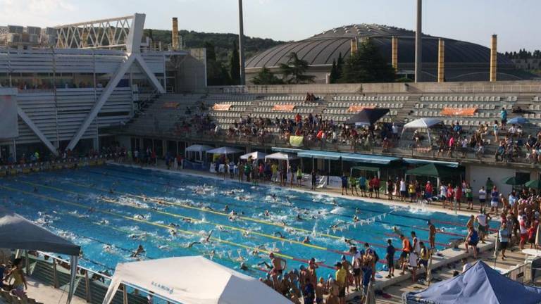 Cierre dorado para la natación