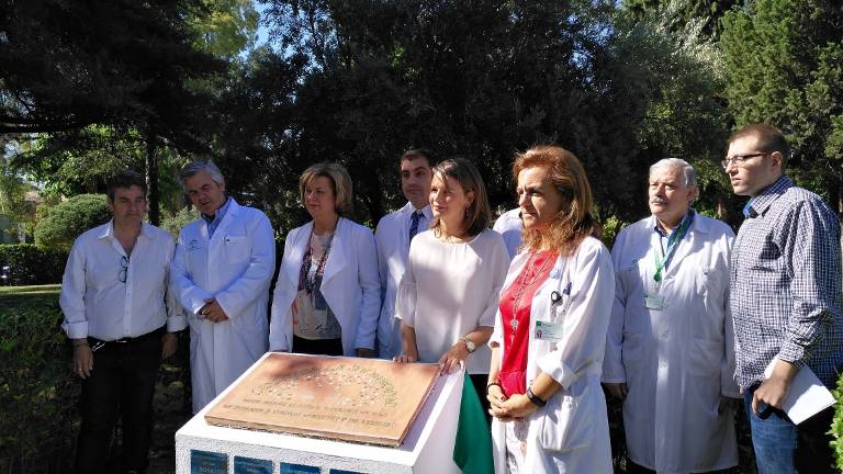 Cálido homenaje para los donantes jiennenses de órganos Cálido homenaje para los donantes jiennenses de órganos