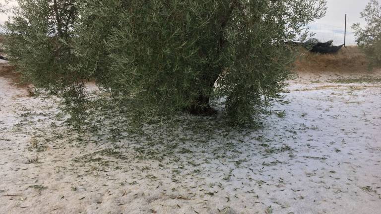 Una granizada arrasa Alcaudete y deja un balance desolador