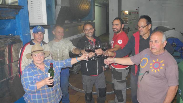 Oleícola Valdepeñas saca su aceite ecológico Oleícola Valdepeñas saca su aceite ecológico