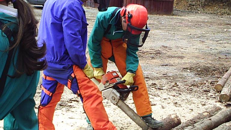 Apuesta clara y atractiva parafijar a los jóvenes Apuesta clara y atractiva parafijar a los jóvenes