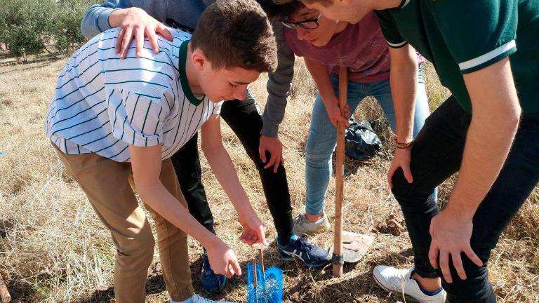 Educación ambiental para conocer al olivar real Educación ambiental para conocer al olivar real