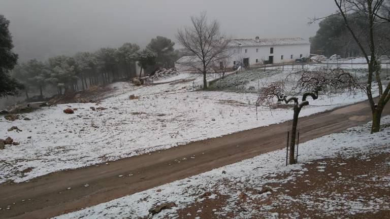 La nieve obliga a circular con cadenas en diez vías