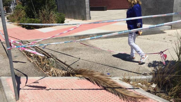 El acceso al centro público está repleto de desperdicios El acceso al centro público está repleto de desperdicios