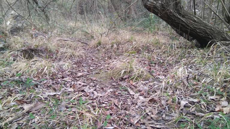 Una fecha clave para el río Zumeta Una fecha clave para el río Zumeta