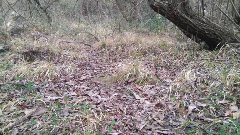 Una fecha clave para el río Zumeta