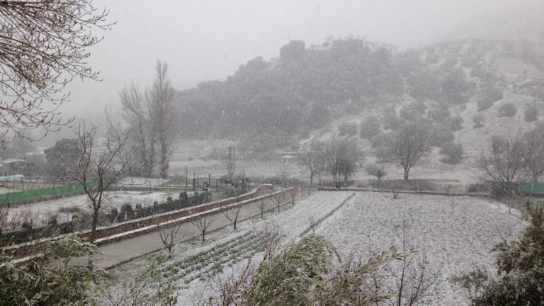 La nieve vuelve a visitar la provincia y causa las primeras incidencias en las carreteras