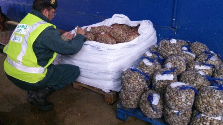 Intervenidos 42 kilos de chirla en Guarromán