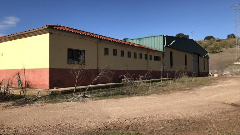 El cultivo del “oro verde” crece El cultivo del “oro verde” crece
