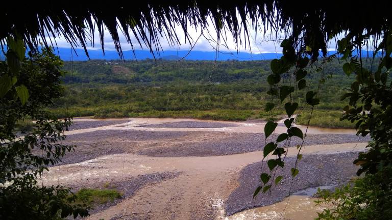 Naturaleza salvaje