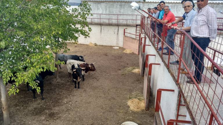 Expectación ante la corrida Expectación ante la corrida