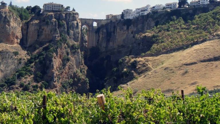 Ruta por los vinos y las bodegas de la serranía