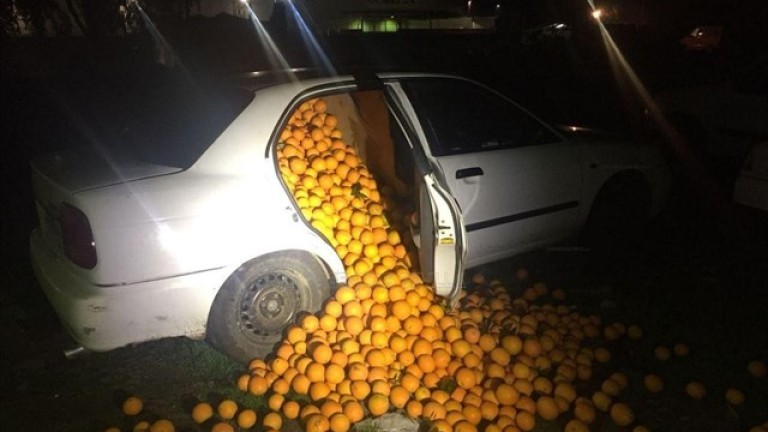 Detienen a 5 personas con 4.000 kilos de naranjas y dicen que era para consumo propio