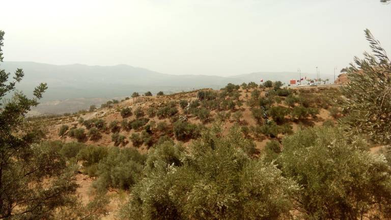 El verde manto de Chaouen