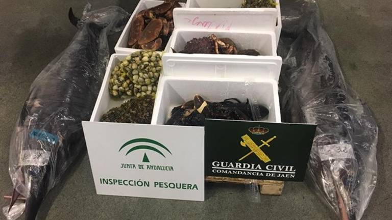 Intervenidos más de 100 kilos de pescado y marisco en Guarromán Intervenidos más de 100 kilos de pescado y marisco en Guarromán