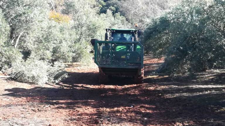 Un año más, Jaén repite su historia