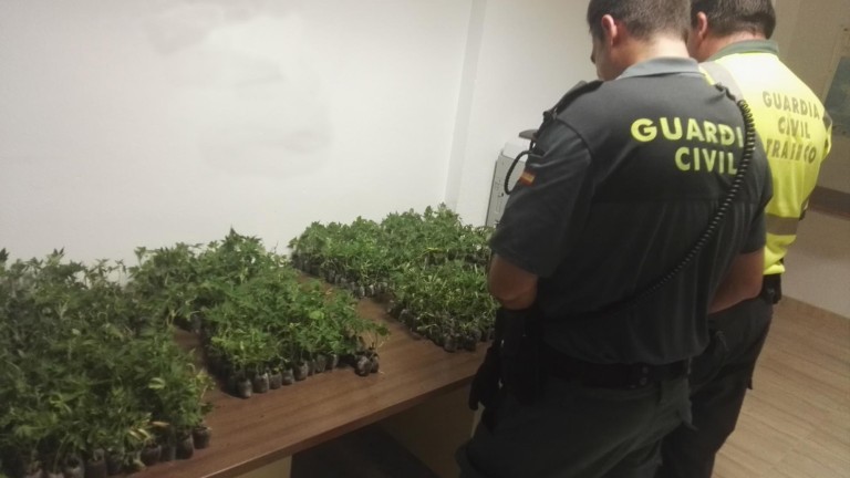 Dos detenidos por posesión de marihuana