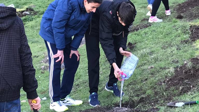 Un árbol, un libro, un hijo