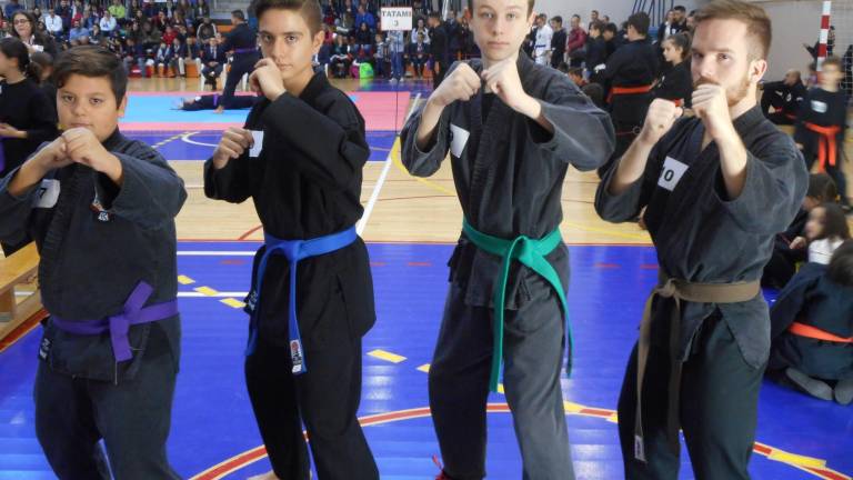 La gran familia del Kenpo La gran familia del Kenpo