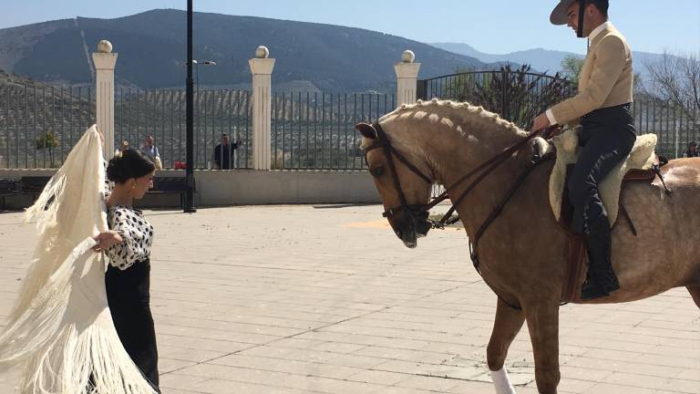 El embrujo de la danza ecuestre