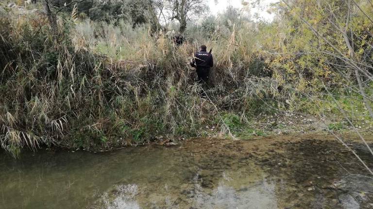 La operación del “Víboras”, abierta La operación del “Víboras”, abierta
