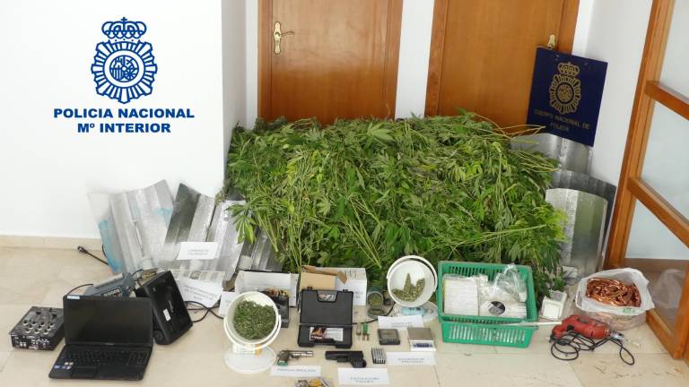 Tres detenidos por cultivar marihuana Tres detenidos por cultivar marihuana