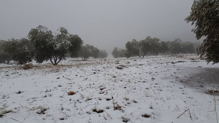 La nieve llega a la Sierra Sur