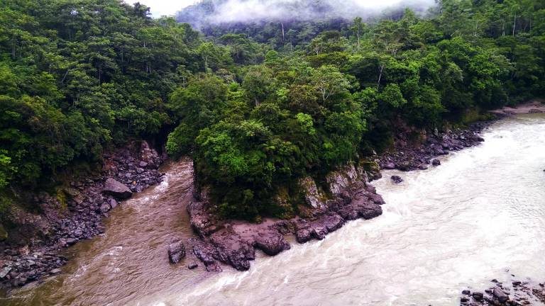 Naturaleza salvaje