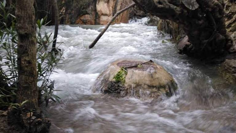 La alegría “brota” en cada rincón del paraíso La alegría “brota” en cada rincón del paraíso