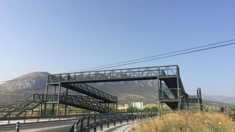 Las avispas toman el puente y atacan a sus viandantes Las avispas toman el puente y atacan a sus viandantes