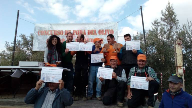 El primer concurso de poda de olivar El primer concurso de poda de olivar