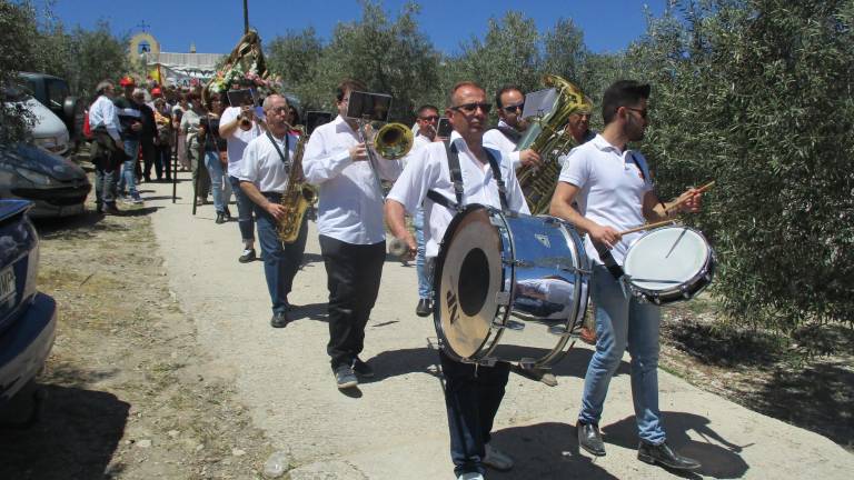 Día de asueto entre olivares