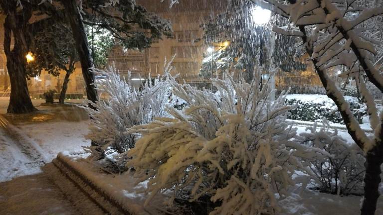 Todas las imágenes de la nieve en Jaén