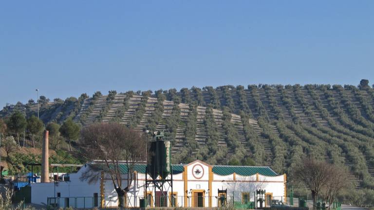 Una gran marca surgida desde la base en la almazara