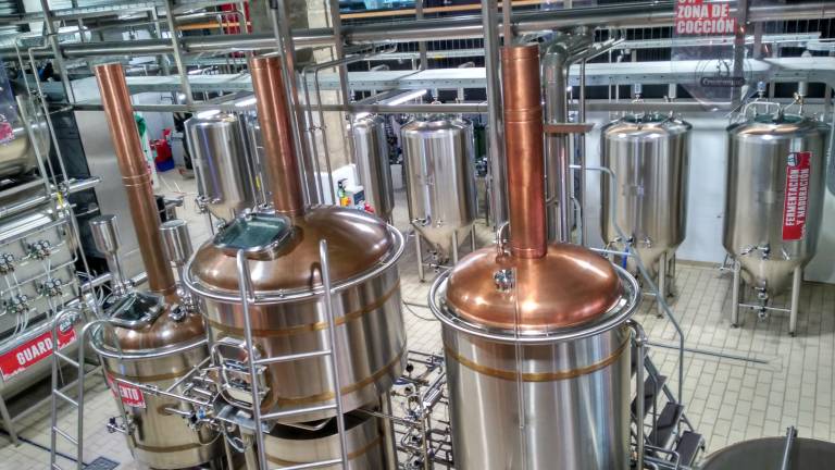 Nace la cerveza creada en el olivar Nace la cerveza creada en el olivar