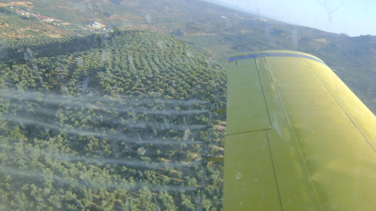 Empiezan los tratamientos aéreos contra la mosca del olivo en la zona